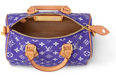 lv speedy amethy|Speedy .